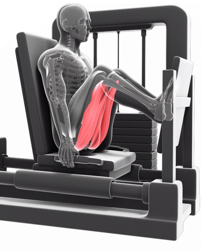 Obraz do zilustrowania naderwanie hamstringa na leg pressie, praca hamstringów w leg press